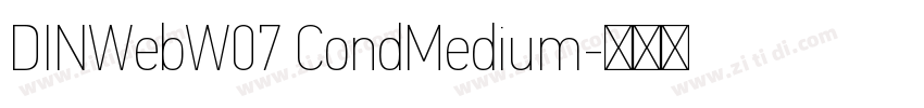 DINWebW07 CondMedium字体转换